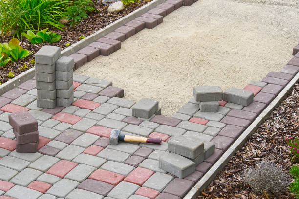 Best Driveway Paving Contractor  in Nescopeck, PA